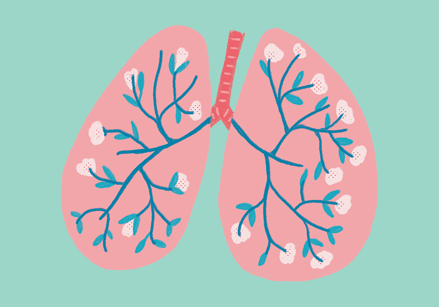 Gesunde Lunge