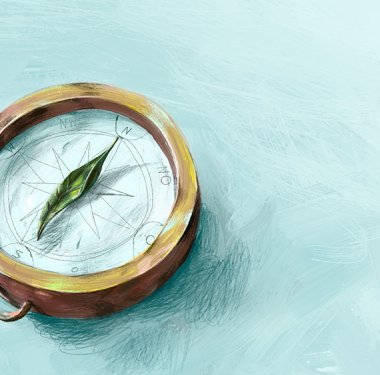 Illustration: Natascha Baumgärtner