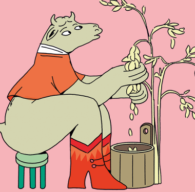 Illustration: Laura Neuhäuser