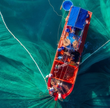 Fischerei muss global noch nachhaltiger werden
