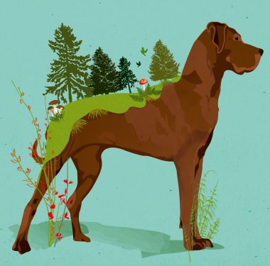 Illustration: Ivonne Schulze