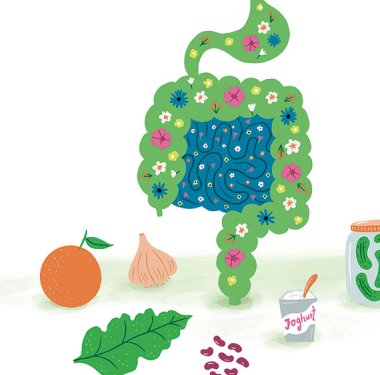 Illustration: Stephanie Hofmann