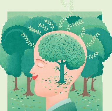 Illustration: Josephine Warfelmann