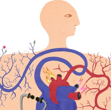 Illustration: Maria Martin