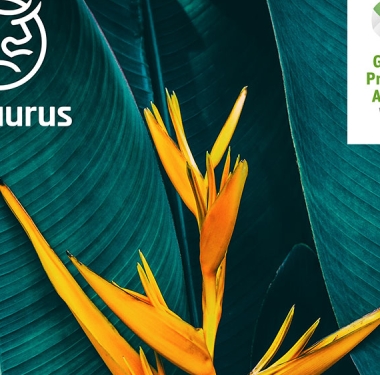 Rebell mit grünem Herzen: Das Start-up Biotaurus kreiert innovative Lösungen für einen nachhaltigen Lifestyle und wurde mit dem Green Product Award ausgezeichnet.