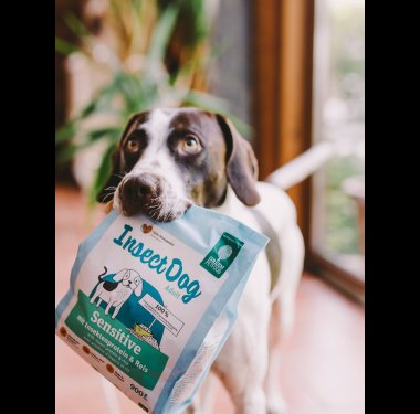 Green Petfood entwickelt zukunftsfähiges Futter für Hunde und Katzen