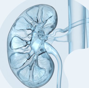 © Adobe Stock / Axel Kock