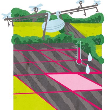 Illustration: Lara Paulussen