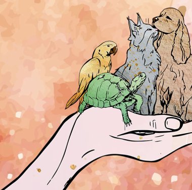 Illustration: Hanna Kaps