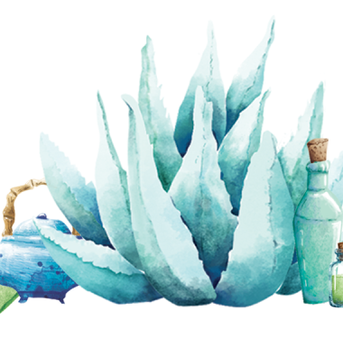 Illustration: Vanessa Chromik