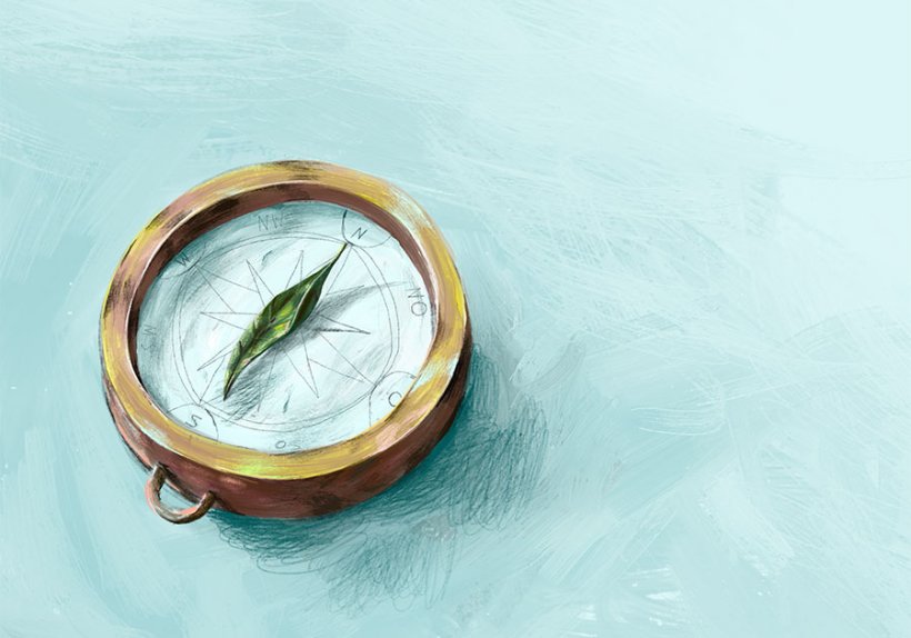 Illustration: Natascha Baumgärtner