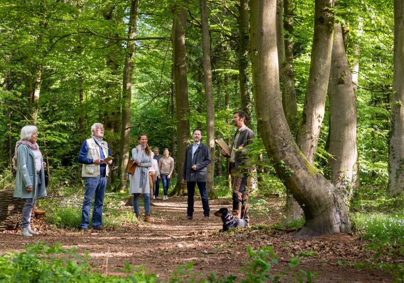 Bei der Waldführung werden alle Fragen zur Bestattung in der Natur beantwortet.