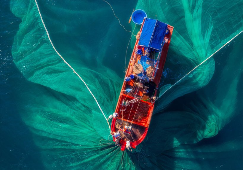 Fischerei muss global noch nachhaltiger werden