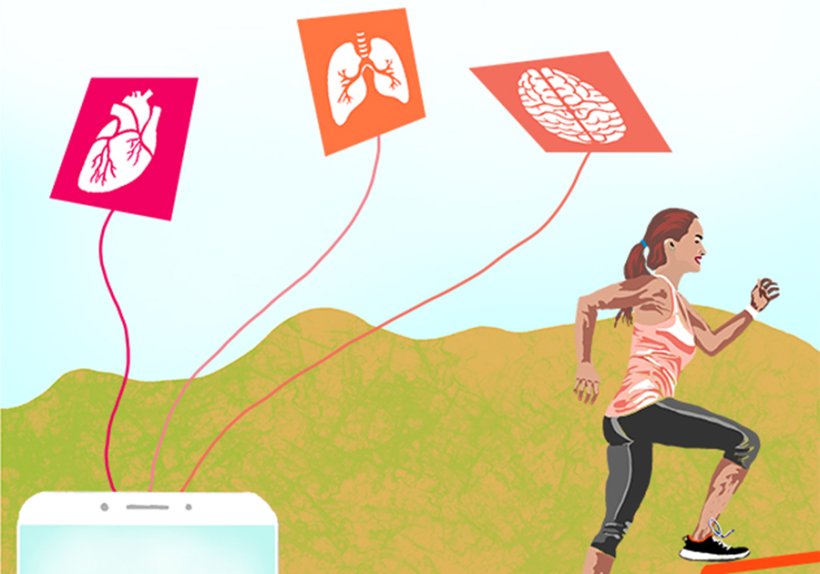 Illustrationen: Dieter Flüggen by Marsha Heyer Illustratoren