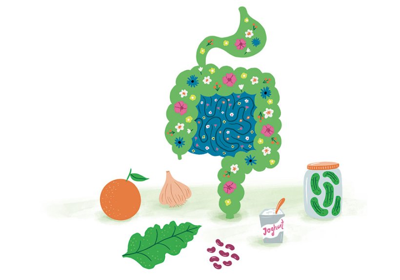 Illustration: Stephanie Hofmann