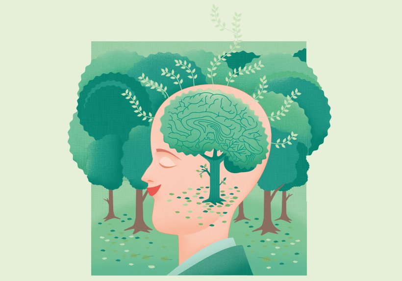 Illustration: Josephine Warfelmann