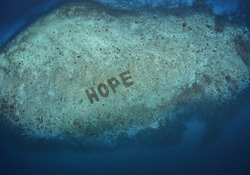 Das Sheba Hope Reef vor der Küste Sulawesis ist eines der größten restaurierten Korallenriffe der Welt – und womöglich Inspiration für weitere Unternehmen.