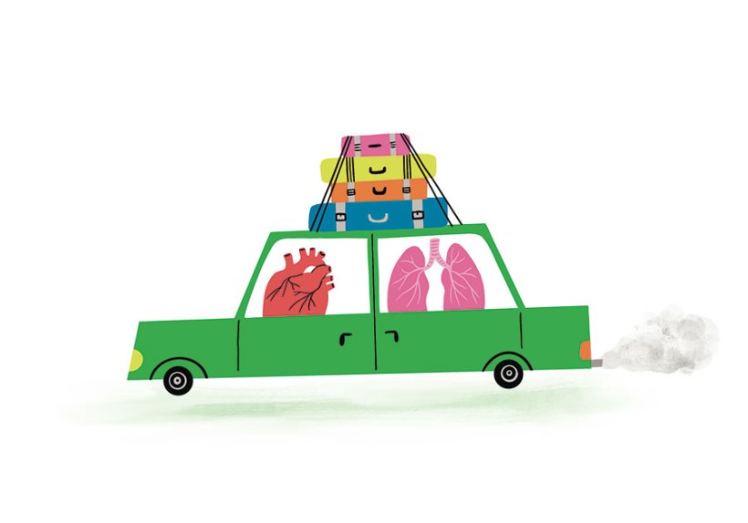 Illustration: Stephanie Hofmann