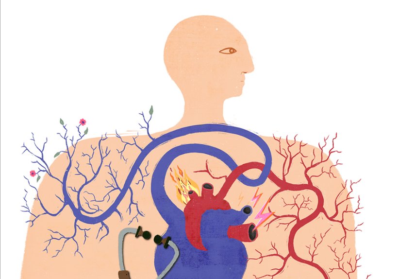 Illustration: Maria Martin