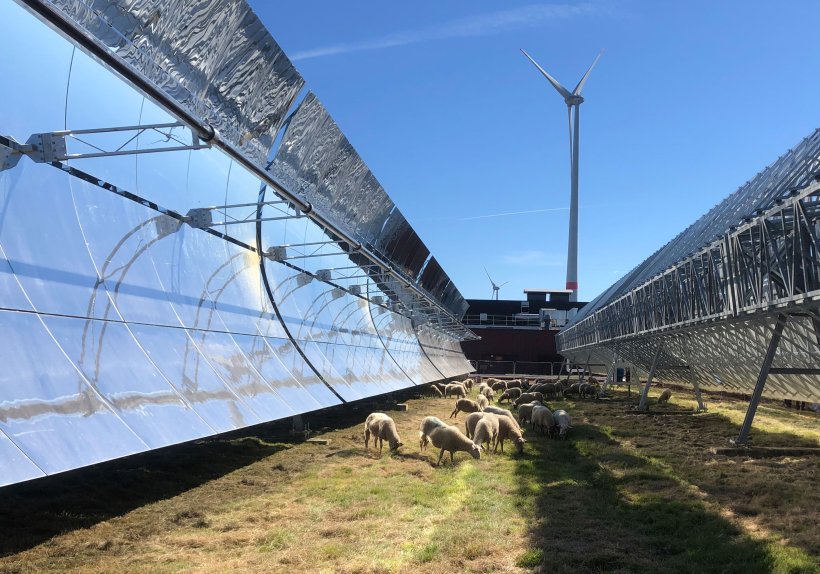Solarthermie – CO2-freie Produktion preiswerter Prozesswärme