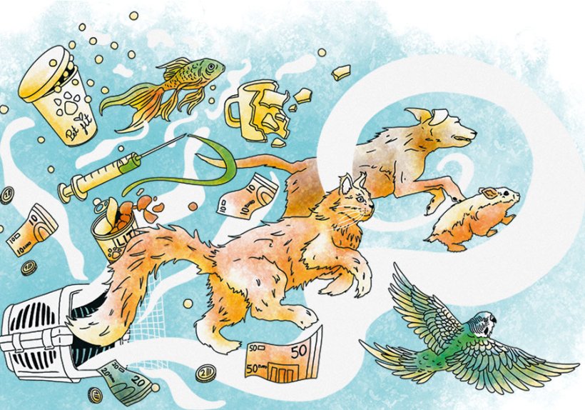 Illustration: Anne Reibold