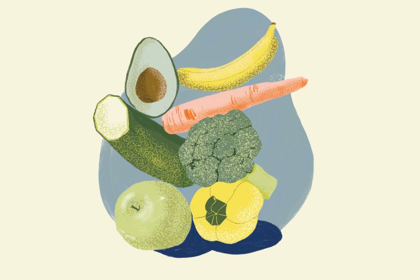Illustrationen: Ingeborg Schindler ingeborgschindler.com
