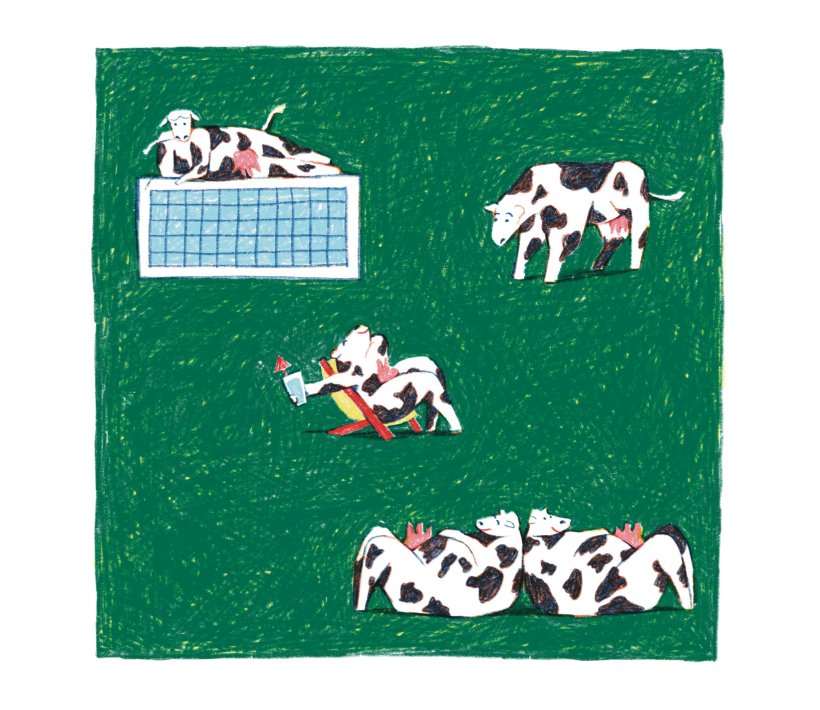 Illustration: Laura Neuhäuser