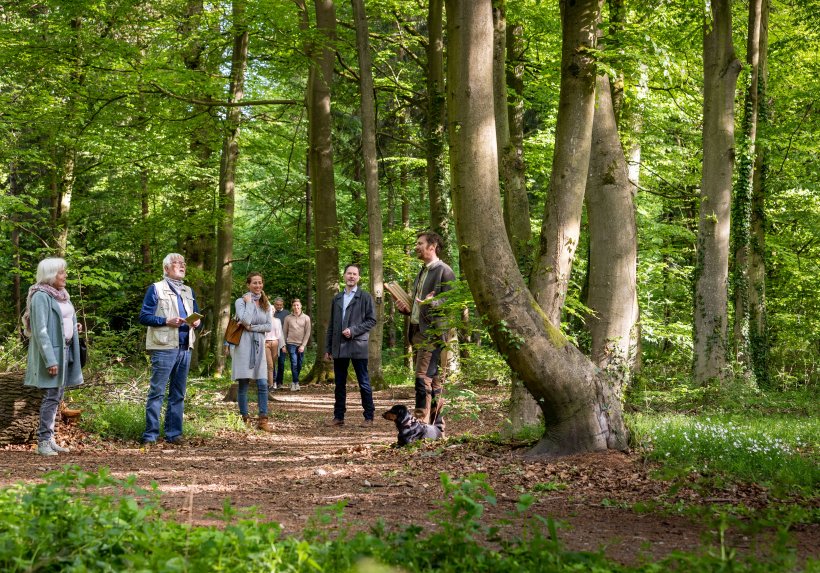 Bei der Waldführung werden alle Fragen zur Bestattung in der Natur beantwortet.