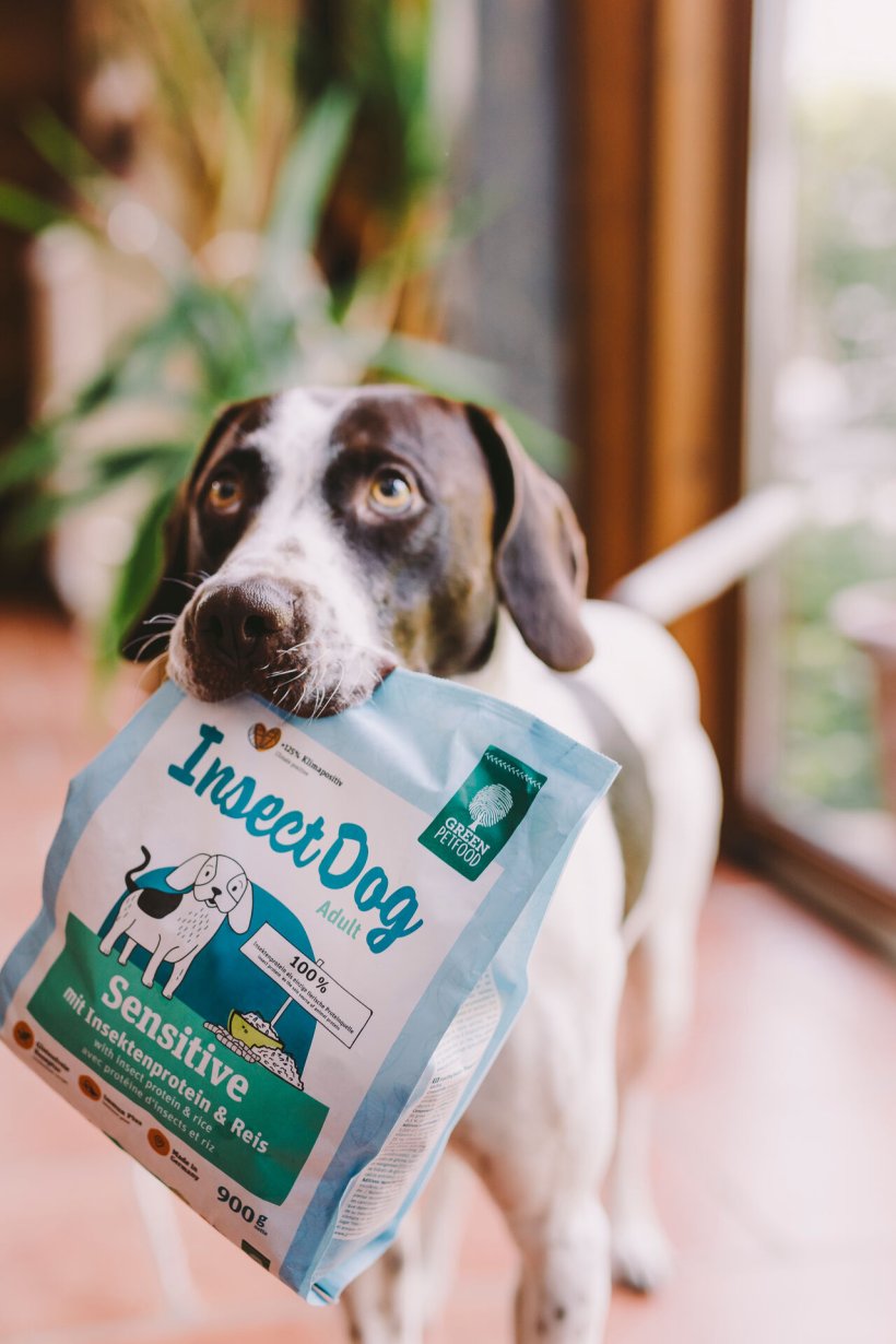 Green Petfood entwickelt zukunftsfähiges Futter für Hunde und Katzen Green Petfood entwickelt zukunftsfähiges Futter für Hunde und Katzen