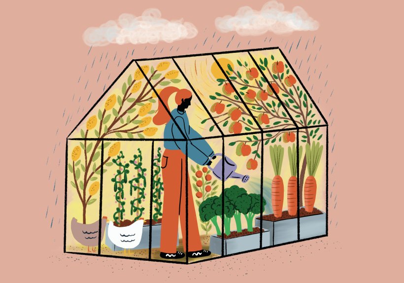 Illustration: Stephanie Hofmann
