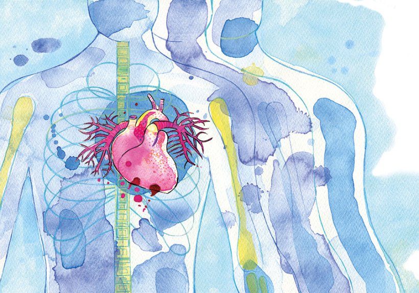 Illustration: Antje Kahl