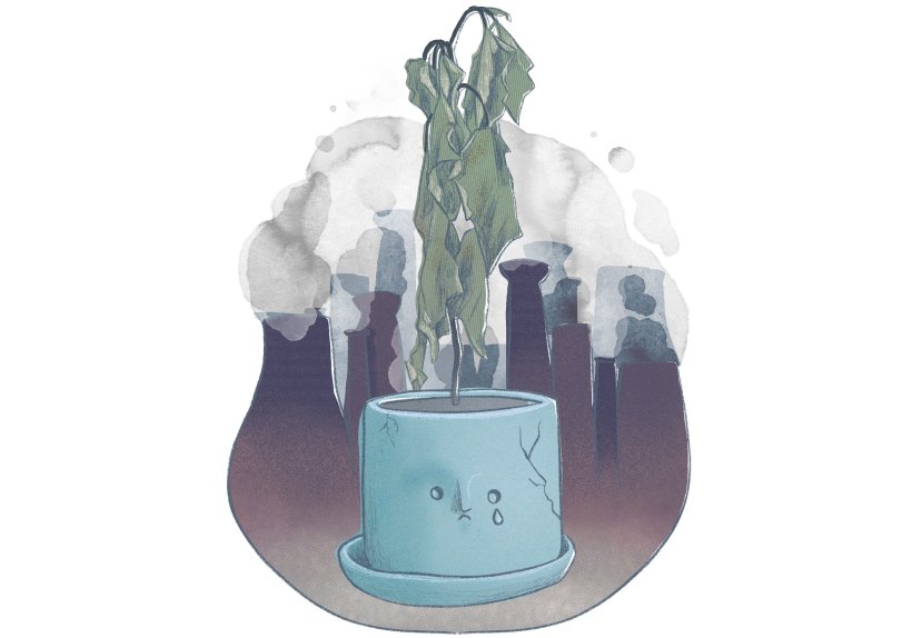 Illustration: Cristina Franco Roda