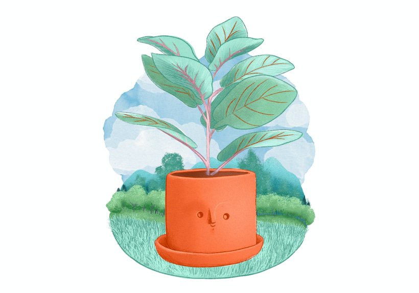 Illustration: Cristina Franco Roda