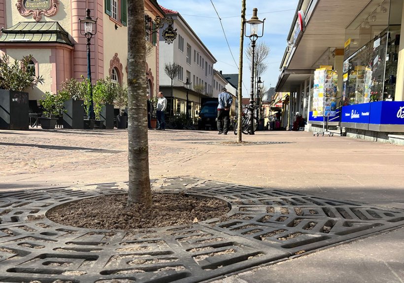Stadtbäume spenden Schatten, verbessern die Luft und sorgen für ökologisches Gleichgewicht. Aber nur zukunfts­fähige Bewässerungskonzepte garantieren ihr natürliches Gedeihen im bebauten Umfeld. 