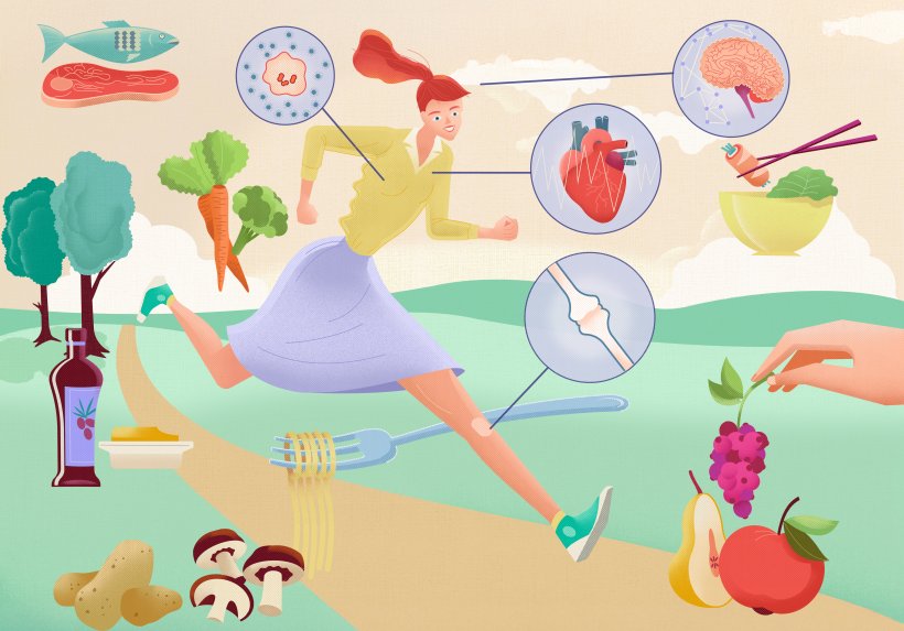 Illustration: Josephine Warfelmann