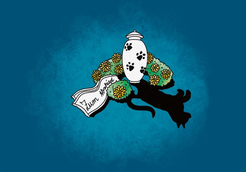 Illustration: Anne Reibold