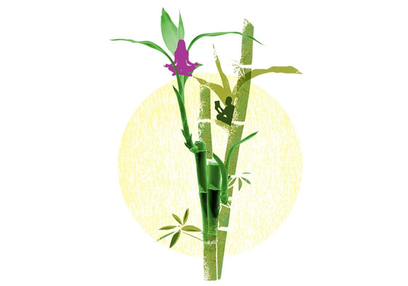 Illustration: Nicole Pfeiffer