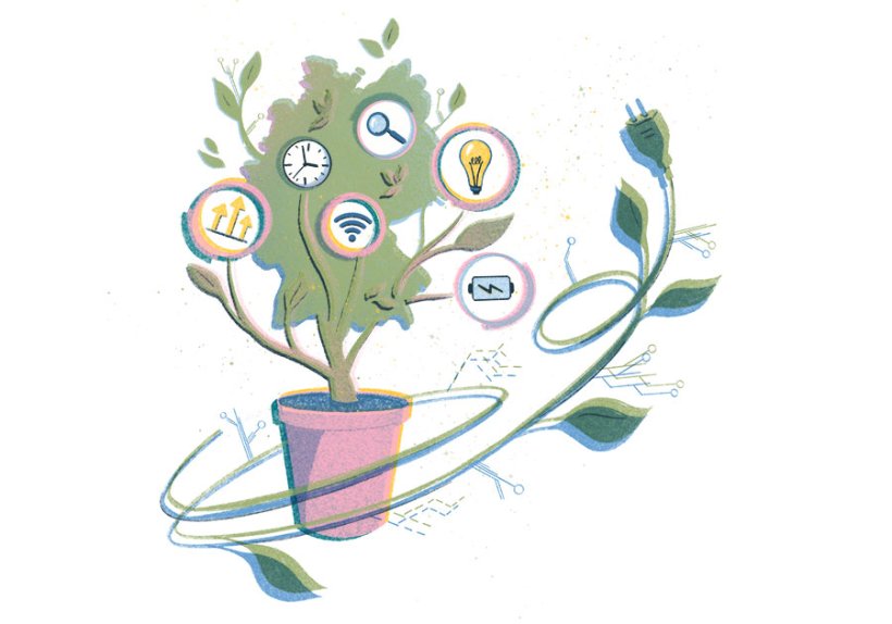 Illustration: Anna Zaretskaya