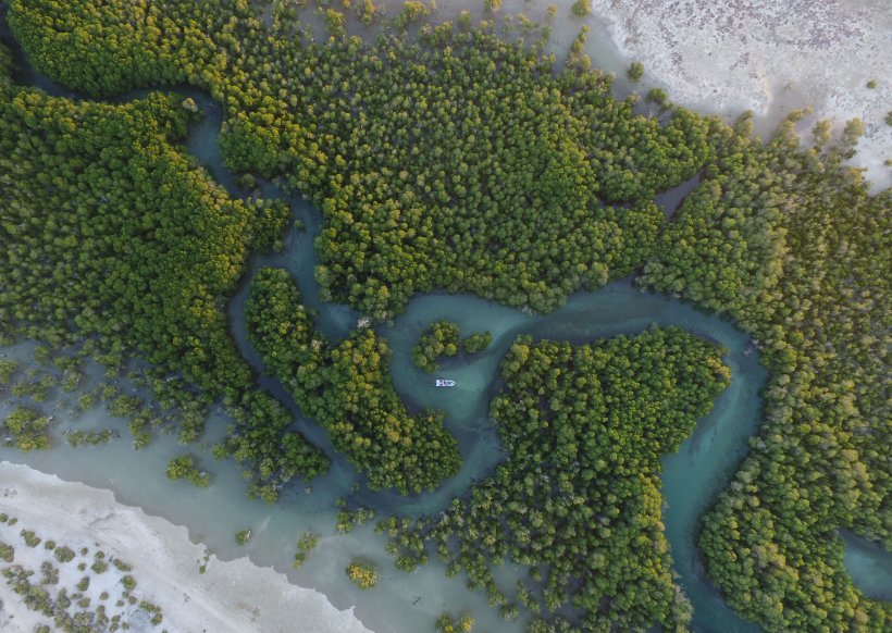 Fragiles Ökosystem: Ein Fluss schlängelt sich durch den Urwald von Madagaskar. © Martina Lippuner, WWF