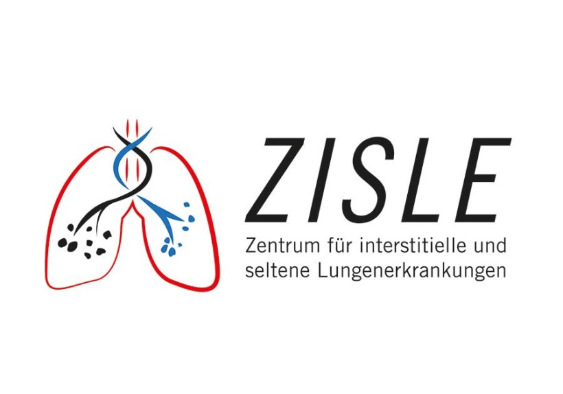 Logo ZISLE 