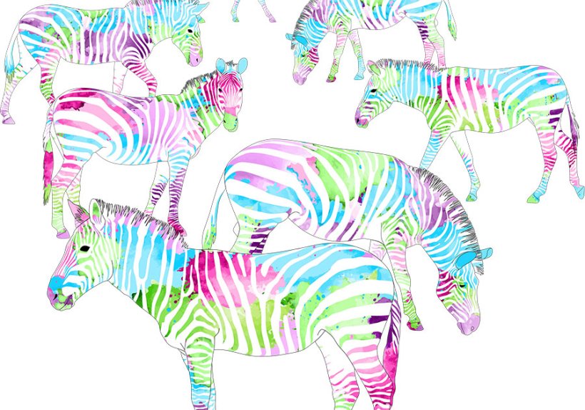 Das Zebra ist das internationale Symboltier für die seltenen Erkrankungen. Mit der Aktion #colourUp4RARE wird das Symbolbild bunt eingefärbt und rückt die Seltenen in den Fokus.