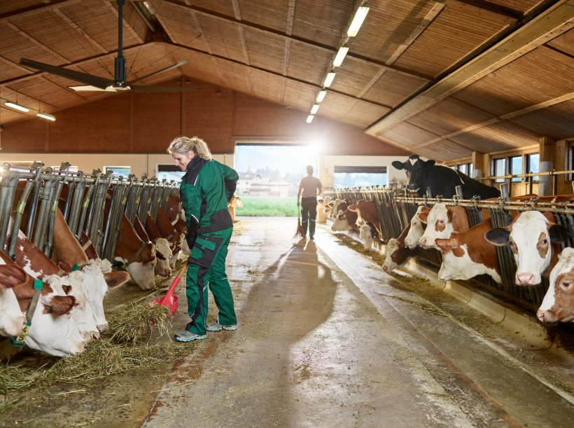 Die Datengrundlage für die LKV-Methanermittlung ist die Untersuchung der Einzelgemelke je Kuh im Rahmen der regelmäßigen Milchleistungsprüfung.