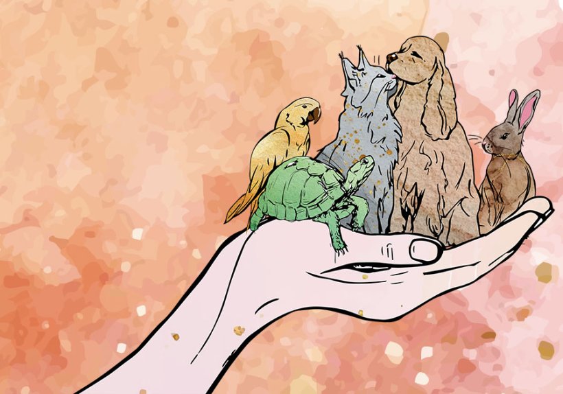 Illustration: Hanna Kaps
