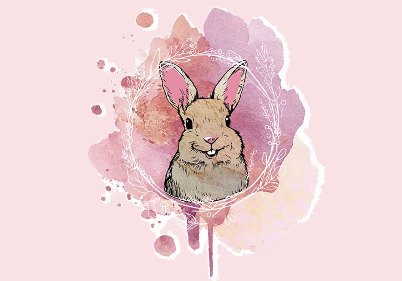 Illustration: Hanna Kaps
