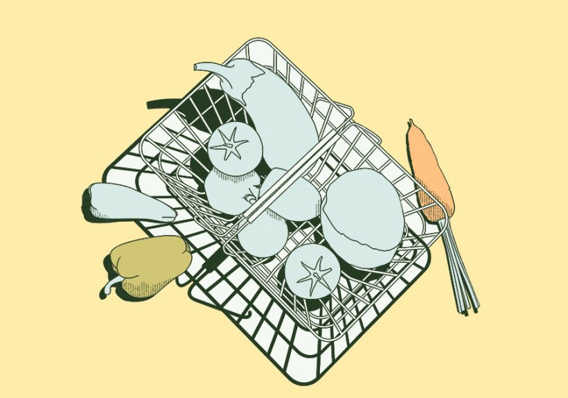 Illustrationen: Gemma Portella