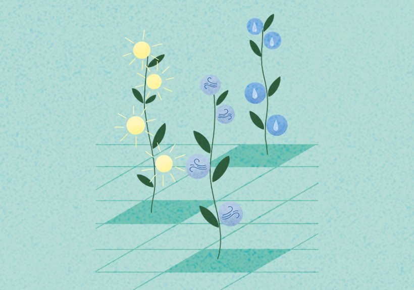 Illustration: Emanuela Carnevale Illustration: Emanuela Carnevale