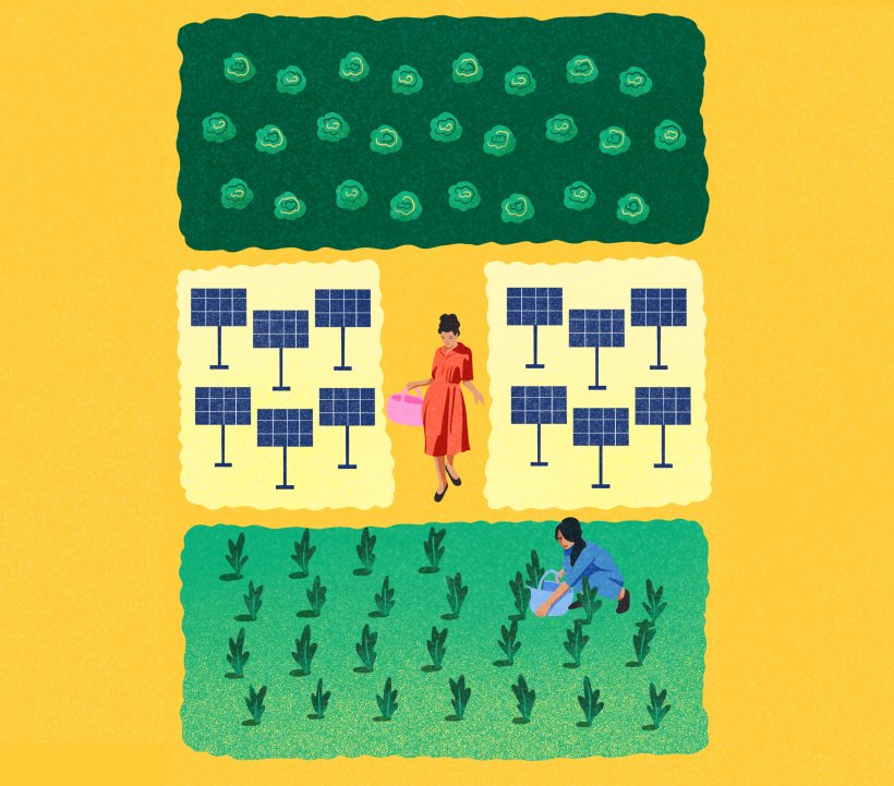 Illustration: Emanuela Carnevale