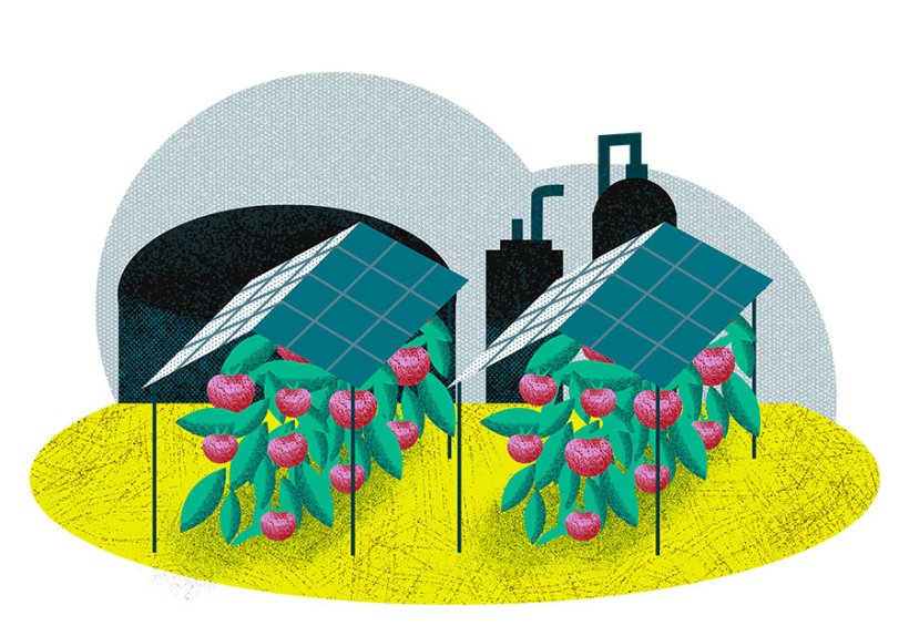 Illustration: Nicole Pfeiffer