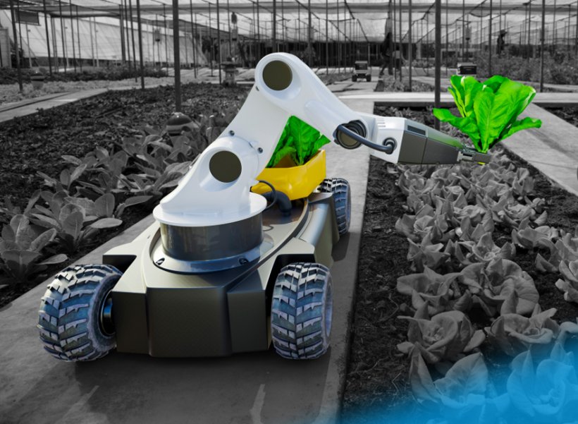 Digitalisierung verändert auch die Landwirtschaft Digitalisierung verändert auch die Landwirtschaft
