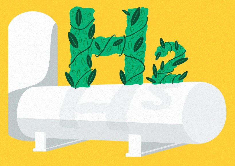 Illustration: Emanuela Carnevale Illustration: Emanuela Carnevale